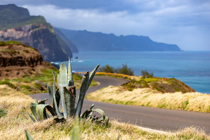 Madeira Jürgen Bester