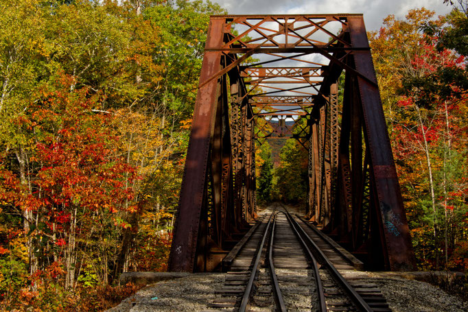 On the Right Track_NH Dieter Mehlhaff