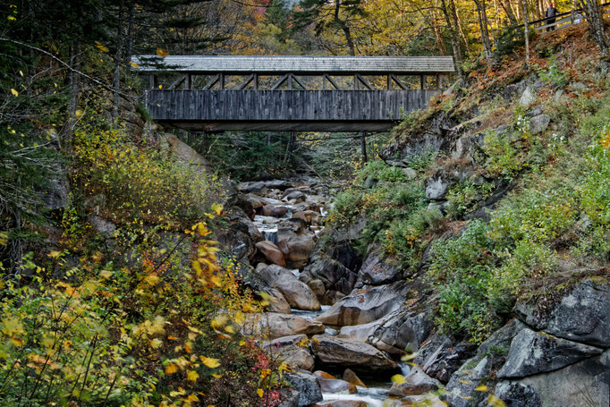 Sentinel Pine Covered Bridge_NH Dieter Mehlhaff