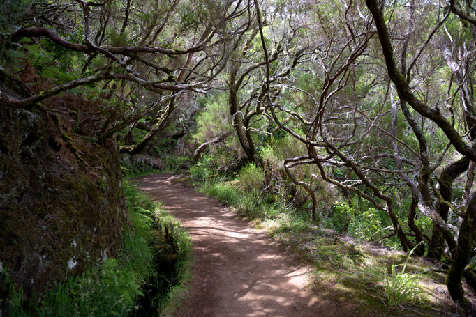 Madeira