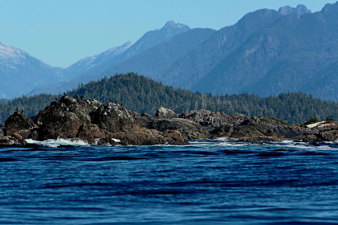 USA Olympic National Park Esowista Peninsula