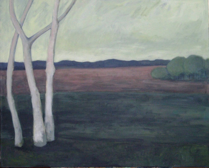Moor 1, 2006, Acryl auf Leinwand 80x100
