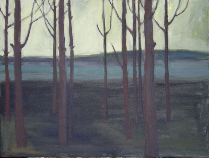 Moor 2, 2006, Acryl auf Leinwand 80x100