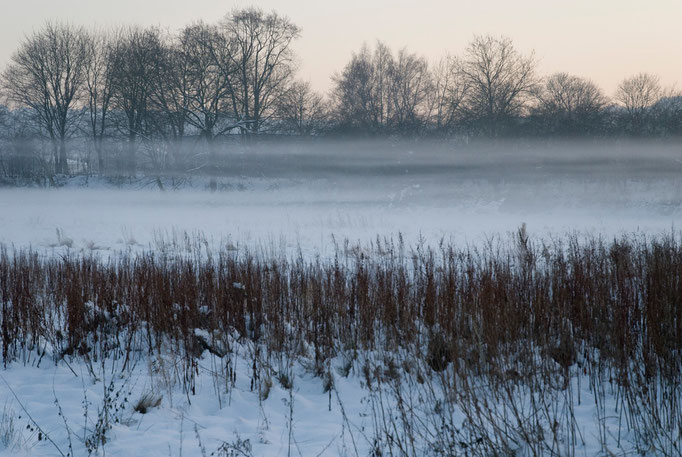 Ruhrwiesen in Steele, Januar 2009