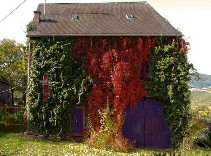 Alte Scheune im Herbst - direktes Nachbargebäude des Ferienhauses - "Mosel-Fachwerkhaus.de"