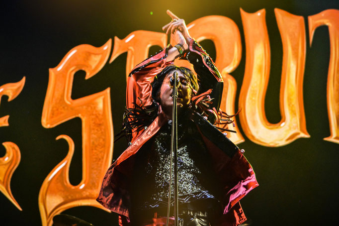 The Struts 2019