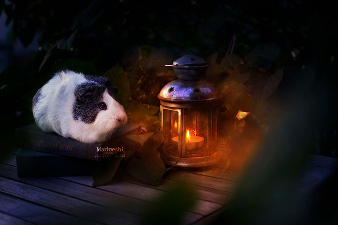 Mieps in the Dark