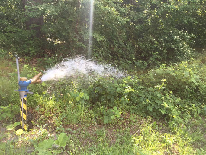 Endstränge einer Leitung müssen regelmäßig gespült werden, da das Wasser in der Leitung still steht
