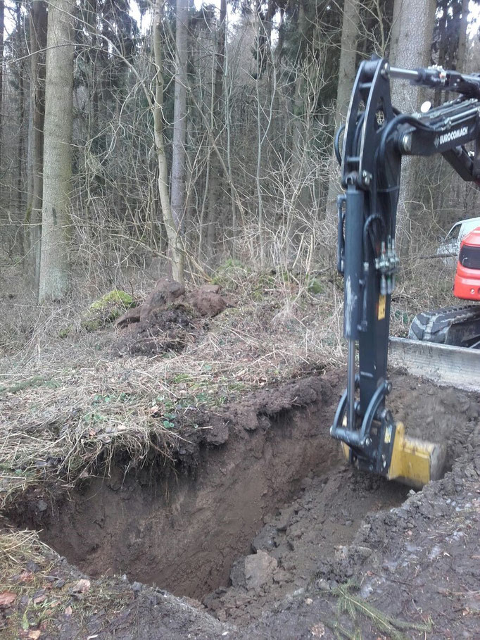 Auch im Wald liegen Trinkwasserleitungen...