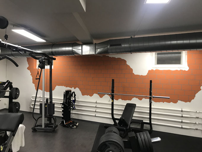 Wandgestaltung Davos Fitness