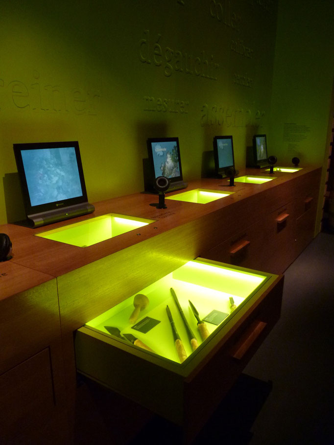 Exposition interactive sur la transformation du bois