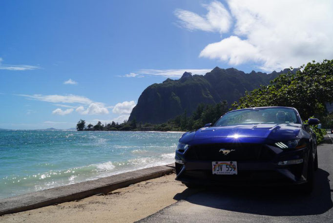 Mustang Convertible