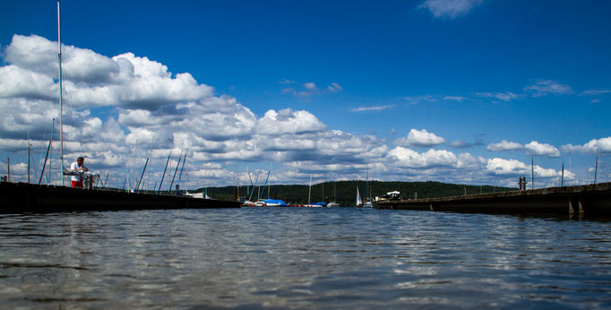 Am Großen Brombachsee, Juni 2016