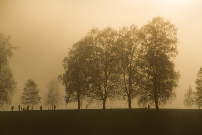 Herbstnebel am Staffelsee, November 2015