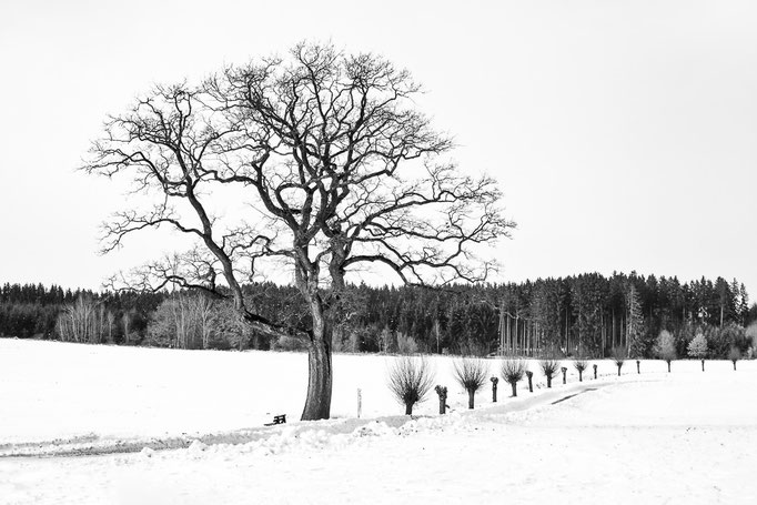 Außerhalb Germerings - Februar 2018