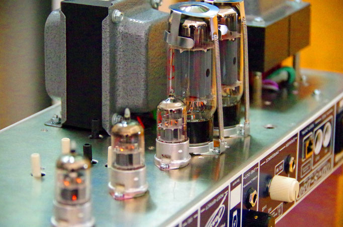 ODvS-D50 head inside