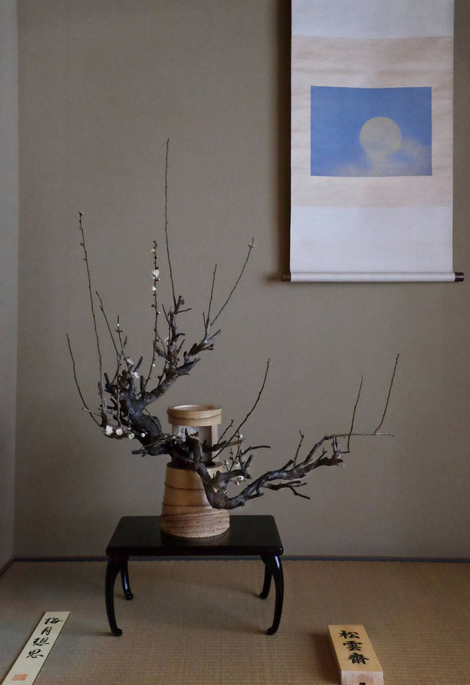 伝統の生花 - 華道 「遠州流」 美濃 ホームページ 伝統の生花 - 華道 「遠州流」 美濃 ホームページ