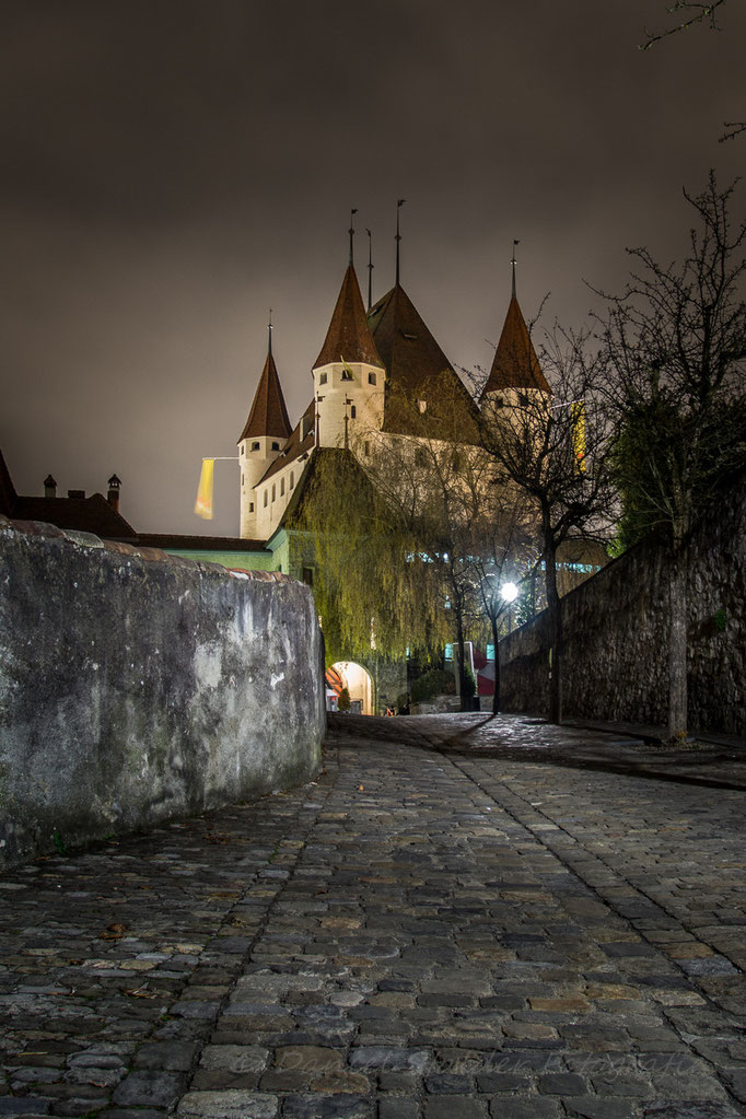 Schloss Thun in einer nebligen Nacht   -N13-