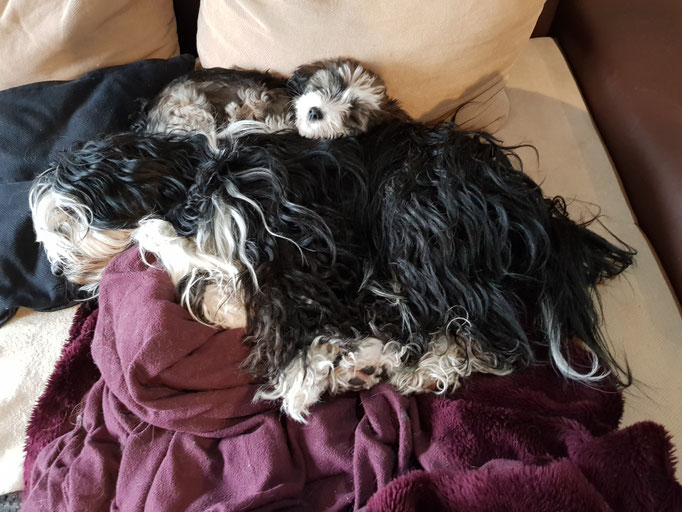 Kuscheln mit Mama  - 03/2018 
