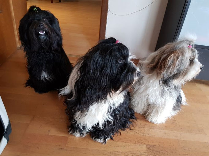 Lisha und ihre Töchter