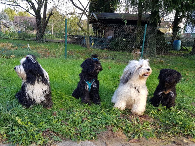 von li. nach re.: Lisha und ihre Kinder Pepper, Han-na und Jobi