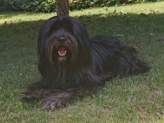 Sam