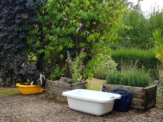 Lisha in der Wanne