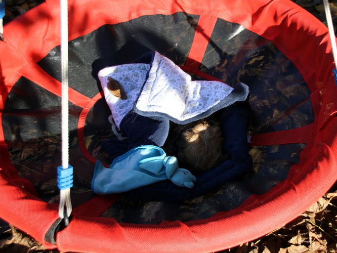 Kahra tankt Kraft in der Nestschaukel mit Kuscheldecke
