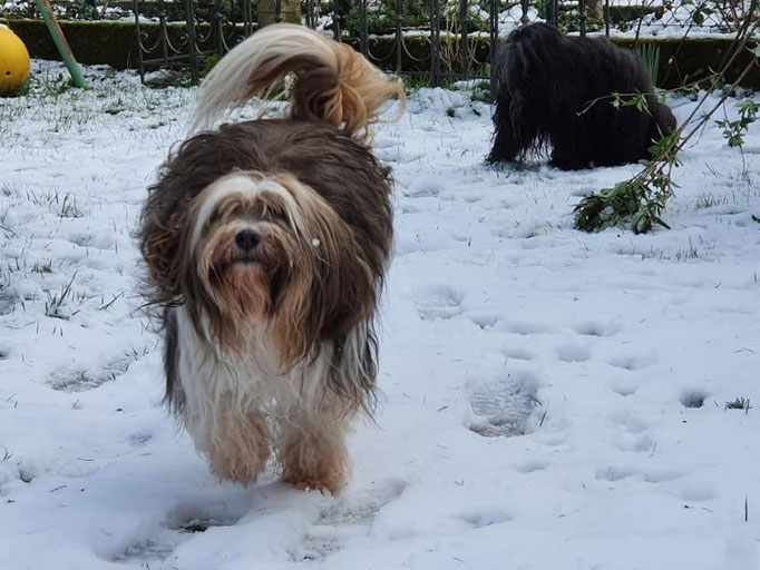 Jippieh Schnee!