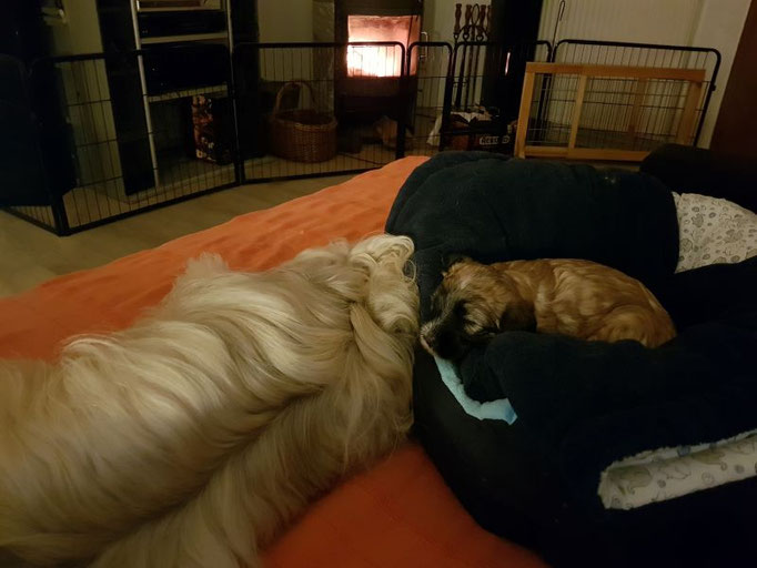 35. Lebenstag - kuschelig mit Holzfeuer