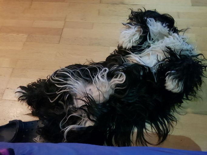 Lisha total entspannt nach Jinps Abreise