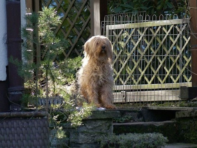 Omi Bya-ra hütet den Garten