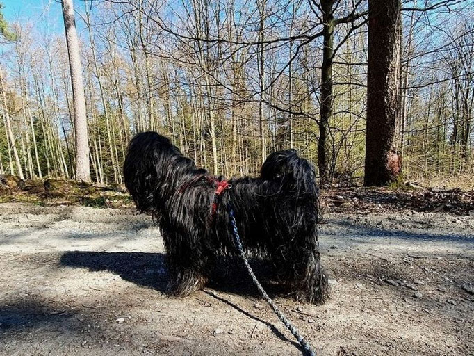 Yeshi im Taunus