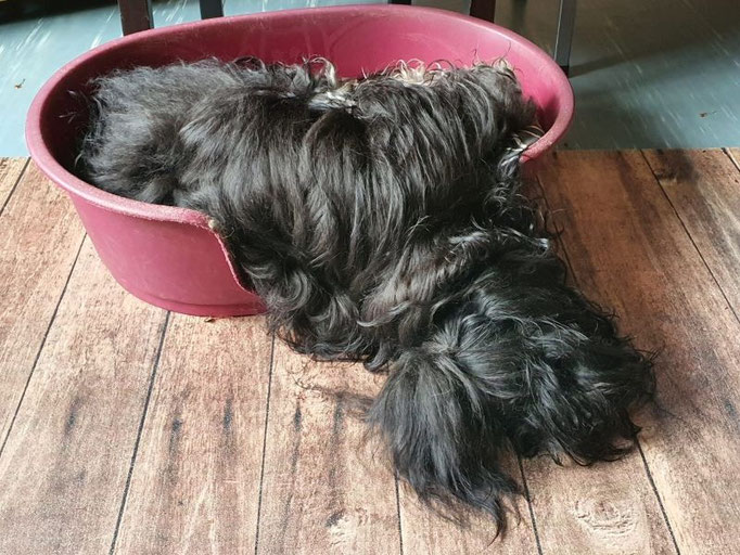 Yeshi chillt, kann das bequem sein?