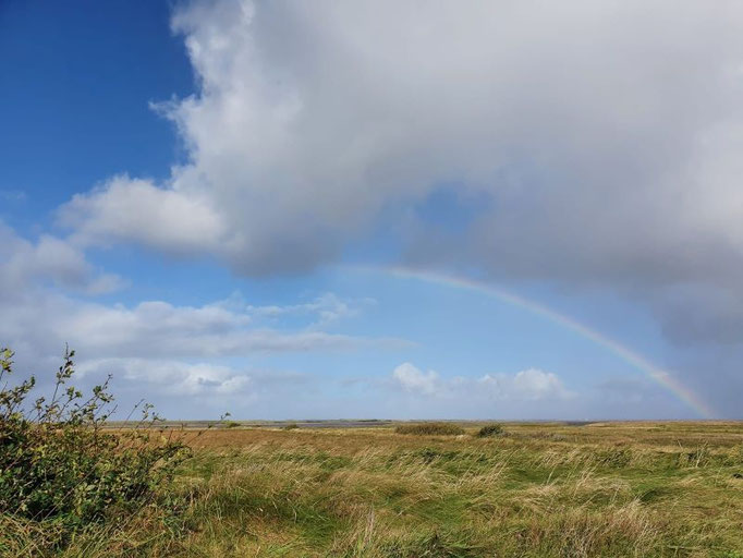 Regenbogen