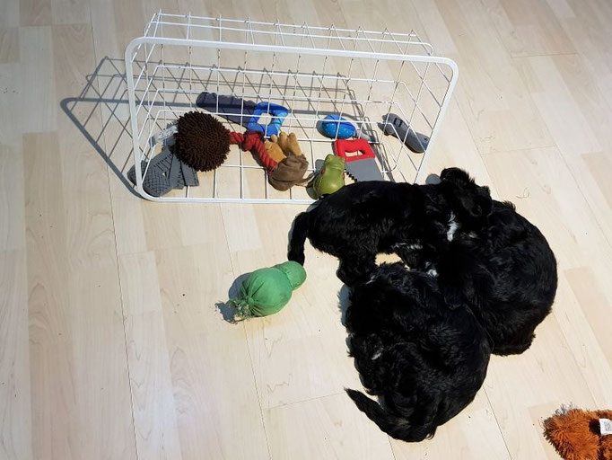 erschöpft inmitten der Spielsachen eingeschlafen