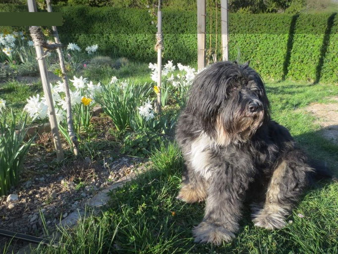 Murphy ganz aktuell, vielen Dank für die Bilder!