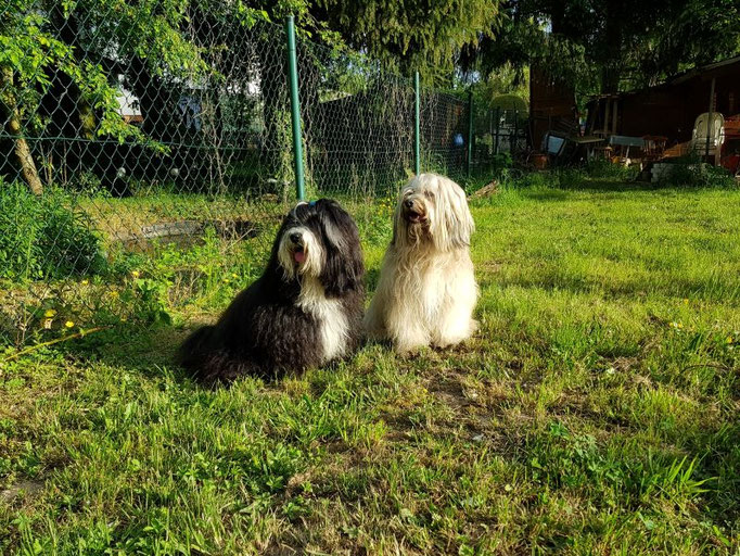 Mihu und seine Mama Fiona