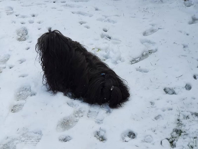 Hab ich da eine Maus gerochen?