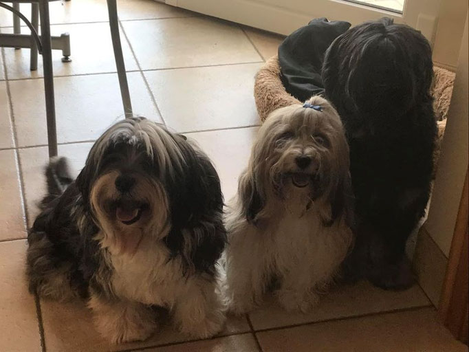 Linchen und ihre Bodyguards ♥