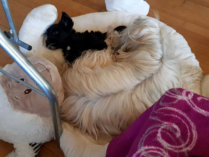 Juli mit Fiona