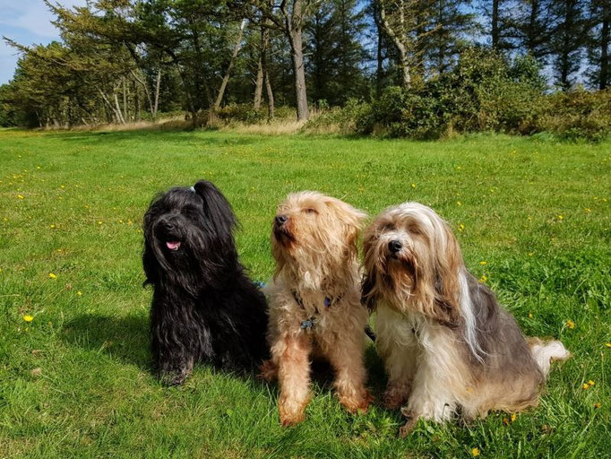 Yeshi, Oma Bya-ra und Mama Milka