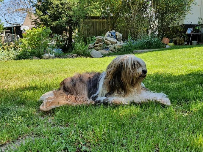 Milka