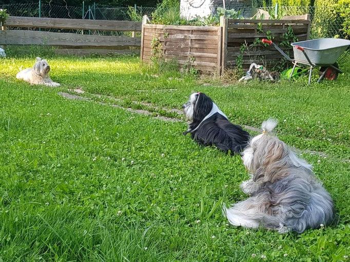 Gartenidylle in Waibstadt