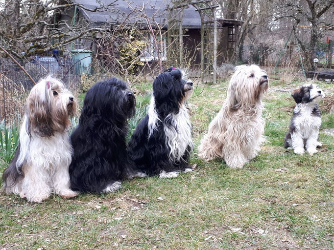 Von li. nach re.: Omi Milka, Papa Yeshi, Mama Lisha, Tante Fiona und Han-na  - 04/2018 
