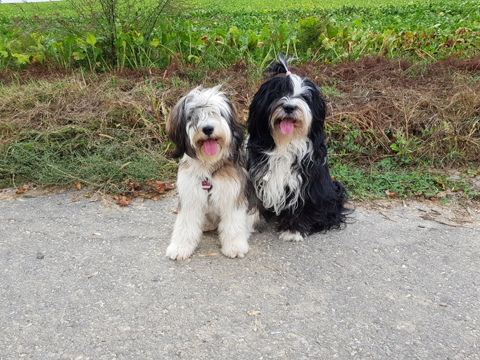 Ausflug mit Mama - 08/2018