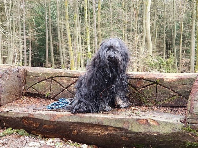 Yeshi im Taunus