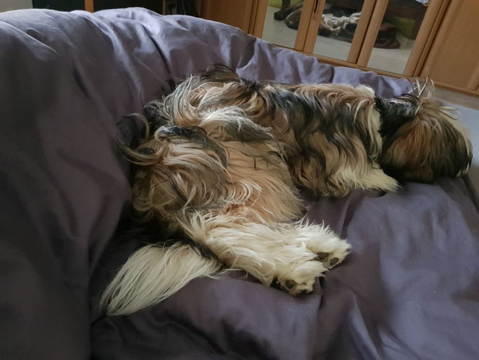 Lazy Sunday - 08/2018 