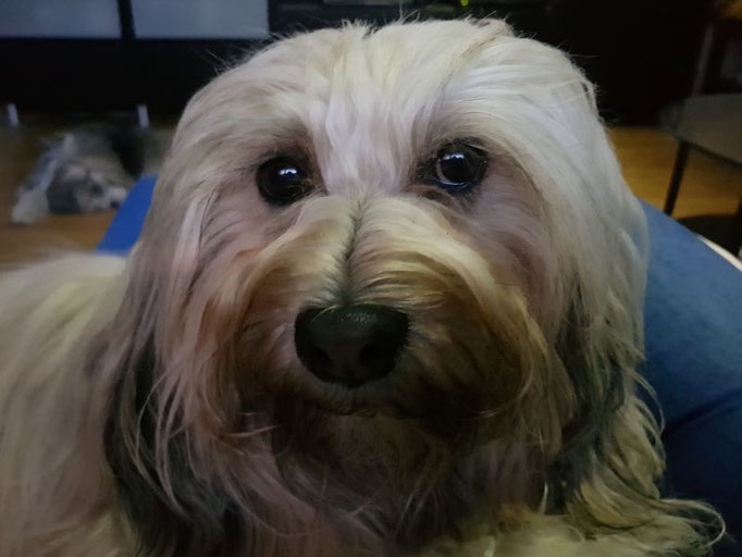 Fiona