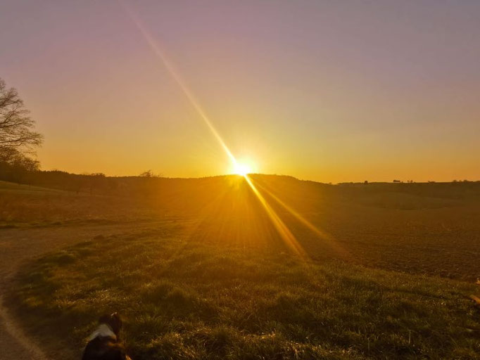 Abendspaziergang mit Lisha und Han-na